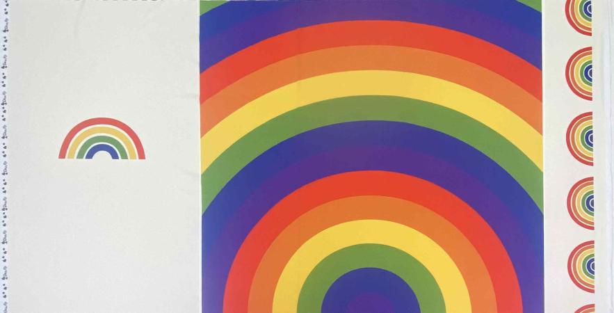 Jersey "Regenbogen" Panel